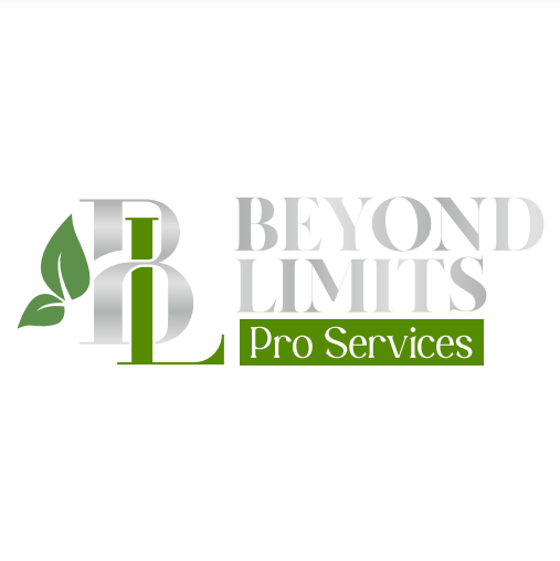 BEYOND LIMITS PRO SERVICES